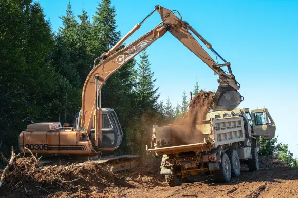 카지노 루트 벳 지원